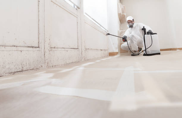 24/7 Emergency Commercial Mold Remediation experts in Wenonah, NJ